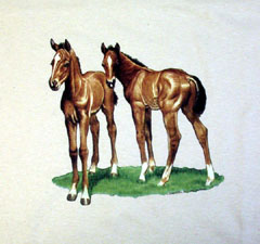 Pasture Mates Tshirt